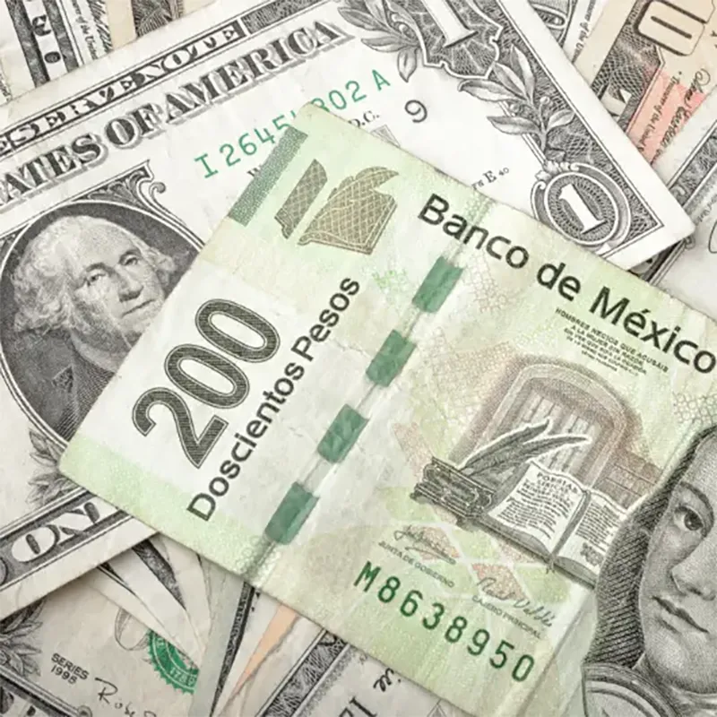 Fresh Baked Bread - Bolillo